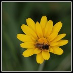 Una sosta e poi via... Una sosta e poi via...