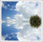 §§§§§§§§ §§§§§§§§