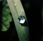 UNA SOLA... UNA SOLA...