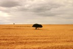 Little Karoo Little Karoo