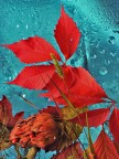 autunno