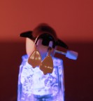 citazione... citazione...