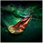 CoLoUrS oF mY sOuL CoLoUrS oF mY sOuL