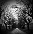 ....lunga e dritta correva la strada..... ....lunga e dritta correva la strada.....