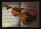 Violino Violino