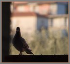 Sull'uscio Sull'uscio