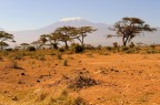 Kenya parco nazionale dell'Amboseli , veduta della savana con il monte Kilimangiaro .