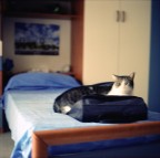 Prima di partire Prima di partire