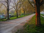 Alberi- Prove in HDR Alberi- Prove in HDR