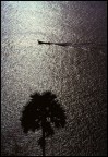 Tramonto Tramonto
