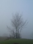 nebbia... nebbia...