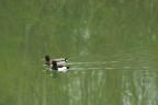 Giretto al Lago..
