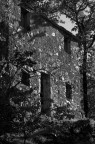 Rustico