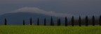 giochi di cipressi (nonsolofoto marzo 07) giochi di cipressi (nonsolofoto marzo 07)
