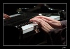 Hands on the piano Hands on the piano
