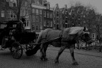 Carrozza Carrozza