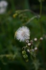 macro n#3 macro n#3