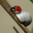 Fatti più in là ... Fatti più in là ...