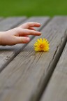 85mm F/4.5 1/500sec. ISO200

... con la complicit di mia figlia ...