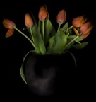 dipingendo i tulipani dipingendo i tulipani