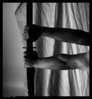 ForteBraccio DuraLama ForteBraccio DuraLama