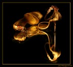 riflesso light riflesso light