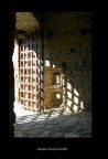 dentro una gabbia di luci ed ombre... dentro una gabbia di luci ed ombre...