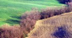 ...Il bello e il brutto!!!... ...Il bello e il brutto!!!...