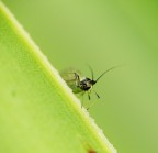 ma che te guardi??? ma che te guardi???