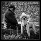 Stai calma Gertrude! Stai calma Gertrude!