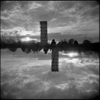 A perfect world... A perfect world...