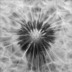 exactly what you wanted exactly what you wanted