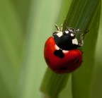 che dura la salita... che dura la salita...