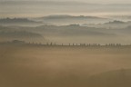 Nebbie Toscane Nebbie Toscane