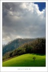 solitario solitario