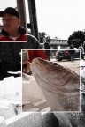 AL MERCATO DEL PESCE AL MERCATO DEL PESCE