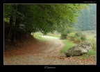 il sentiero il sentiero