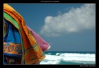 i colori dei vu cumprà i colori dei vu cumprà