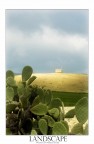 sicilia