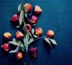 composizione... composizione...