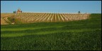 foto frasca di oggi pomriggio scattata sulle colline piacentine (sul confine con l'oltrepo pavese).
Nikon d50 obb tamron 24-135 a 40 mm f14 1/250 di secondo e compensazione esposizione -1.
commenti e critiche ben accatti!