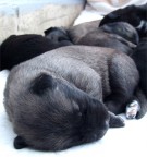 Piu' bella cosa non c'e' Piu' bella cosa non c'e'