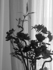 composizione floreale composizione floreale
