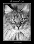 Black&amp;White