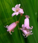 ombre lunghe ombre lunghe