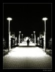 Dedicato a.......... Dedicato a..........