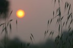 Sole rosso Sole rosso