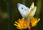 prima colazione.. prima colazione..