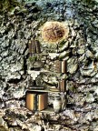 Libreria Naturale Libreria Naturale