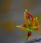 Chi è fuori è fuori chi è sotto è sotto... Chi è fuori è fuori chi è sotto è sotto...